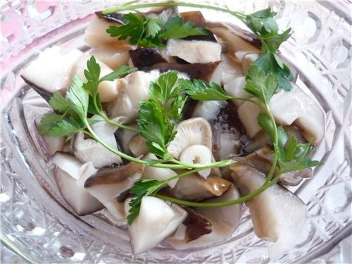 ฝีพายหมัก