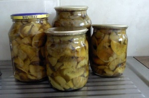 ฝีพายหมัก