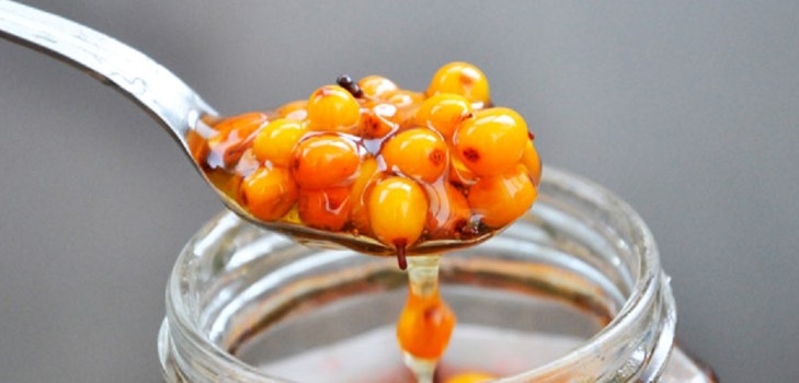 ทะเล buckthorn สำหรับฤดูหนาว, สูตรที่ดีที่สุด: กับน้ำตาลโดยไม่ต้องปรุงอาหารด้วยน้ำผึ้ง, วุ้น