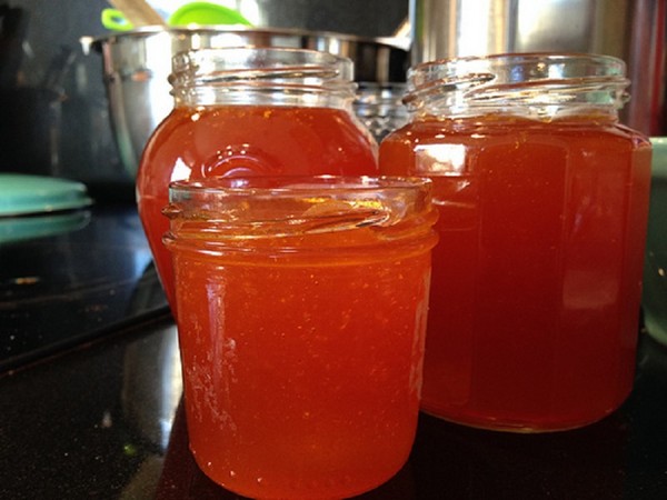 ทะเล buckthorn สำหรับฤดูหนาว, สูตรที่ดีที่สุด: กับน้ำตาลโดยไม่ต้องปรุงอาหารด้วยน้ำผึ้ง, วุ้น