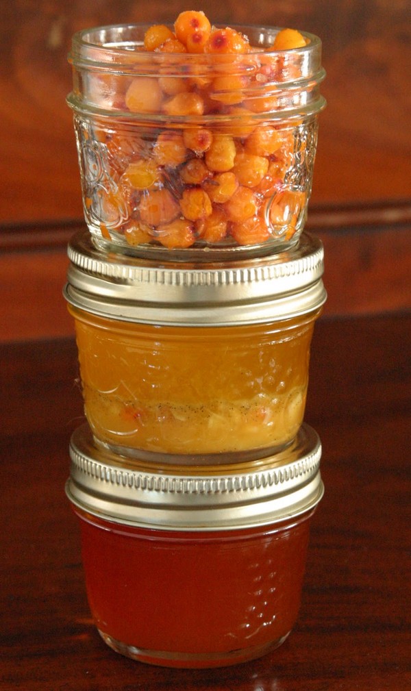 ทะเล buckthorn สำหรับฤดูหนาว, สูตรที่ดีที่สุด: กับน้ำตาลโดยไม่ต้องปรุงอาหารด้วยน้ำผึ้ง, วุ้น
