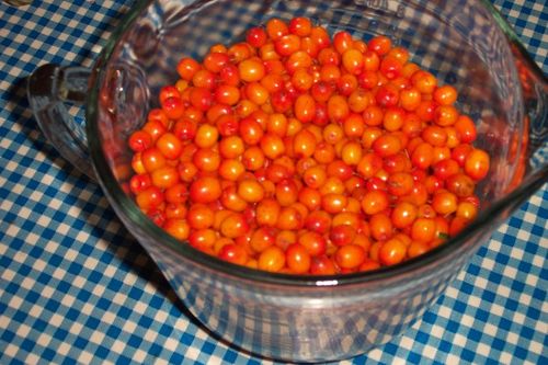 พาสเจอร์ไรส์แยมจากทะเล buckthorn