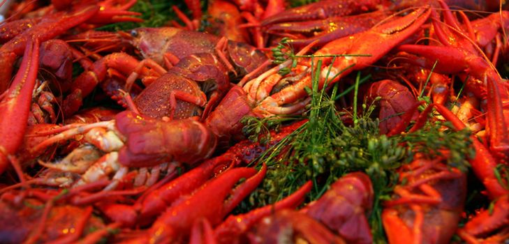 กุ้งสุก