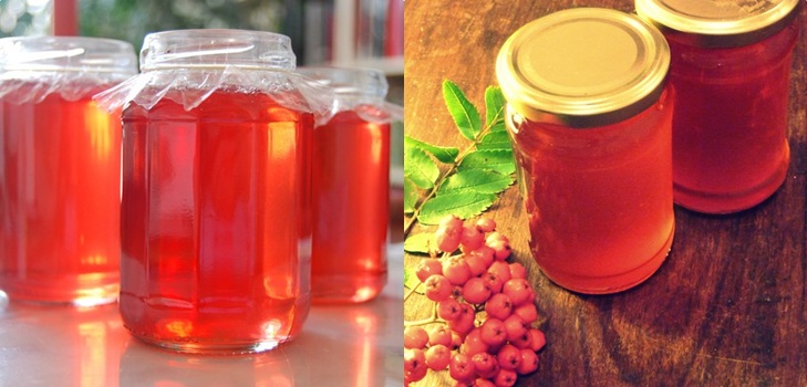 Rowan สำหรับฤดูหนาว: สูตรสำหรับบิลเล็ตจาก chokeberry แดงและสีดำตามปกติ