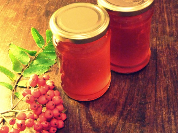 Rowan สำหรับฤดูหนาว: สูตรสำหรับบิลเล็ตจาก chokeberry แดงและสีดำตามปกติ
