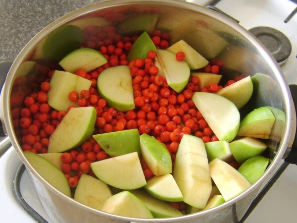 Rowan สำหรับฤดูหนาว: สูตรสำหรับบิลเล็ตจาก chokeberry แดงและสีดำตามปกติ