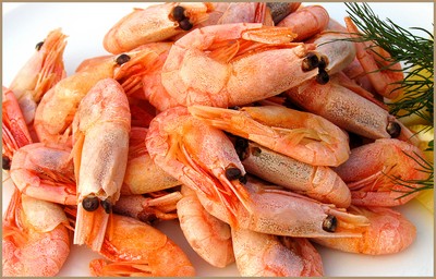 สลัดกุ้งและปลาหมึก