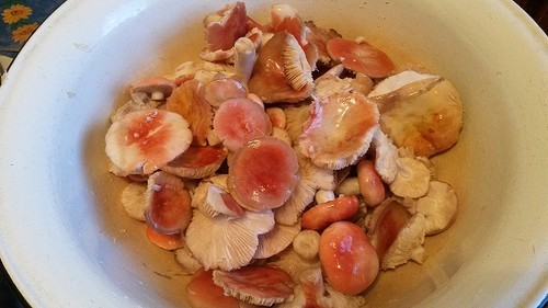 ข้าวไรย์: สูตรการทำอาหารง่ายๆและอร่อย