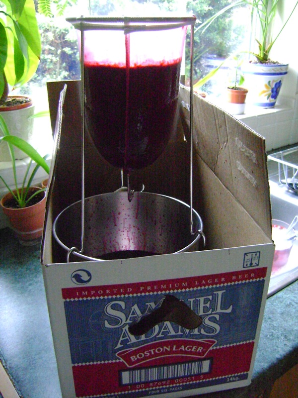 แกงเผ็ดอร่อยจาก blackcurrant - สูตร