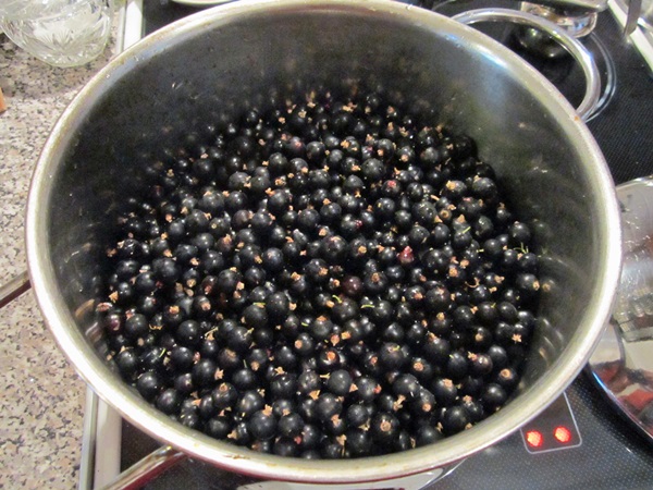 แกงเผ็ดอร่อยจาก blackcurrant - สูตร