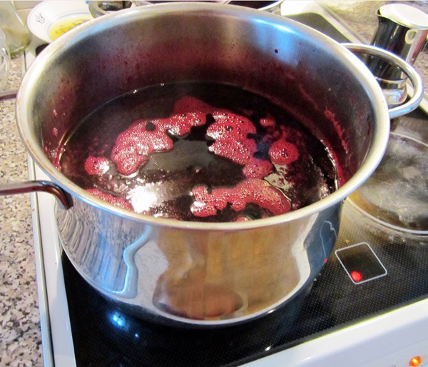 แกงเผ็ดอร่อยจาก blackcurrant - สูตร