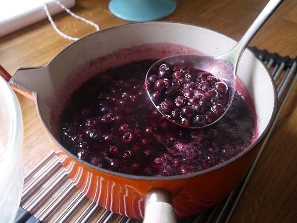 แกงเผ็ดอร่อยจาก blackcurrant - สูตร