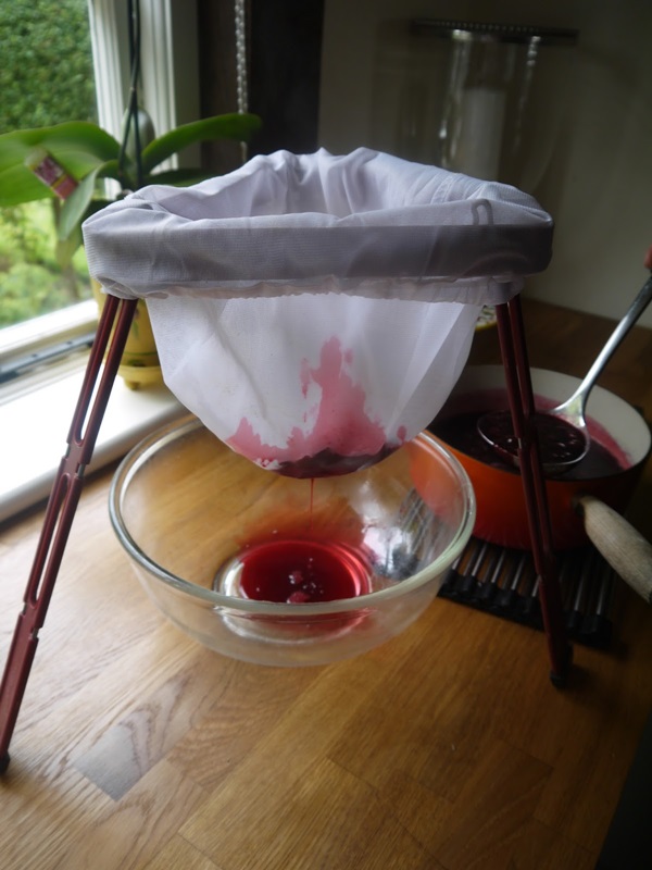 แกงเผ็ดอร่อยจาก blackcurrant - สูตร