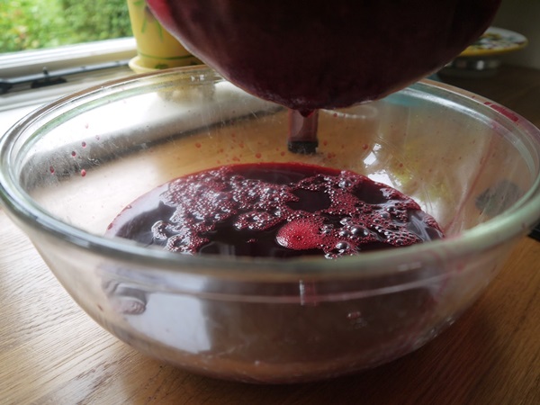 แกงเผ็ดอร่อยจาก blackcurrant - สูตร