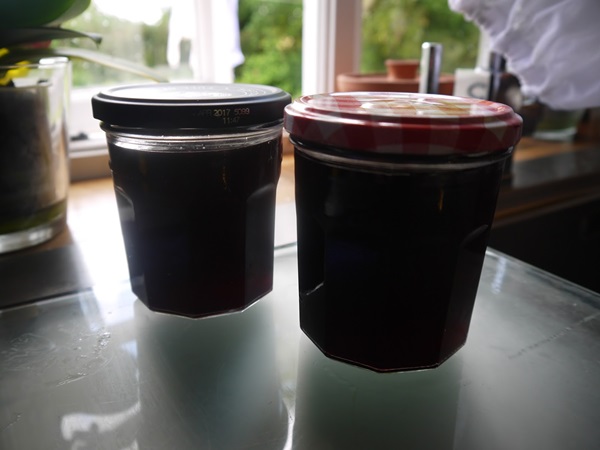แกงเผ็ดอร่อยจาก blackcurrant - สูตร