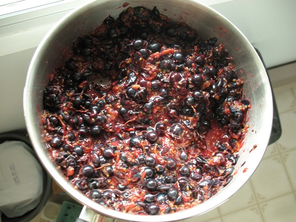 แกงเผ็ดอร่อยจาก blackcurrant - สูตร