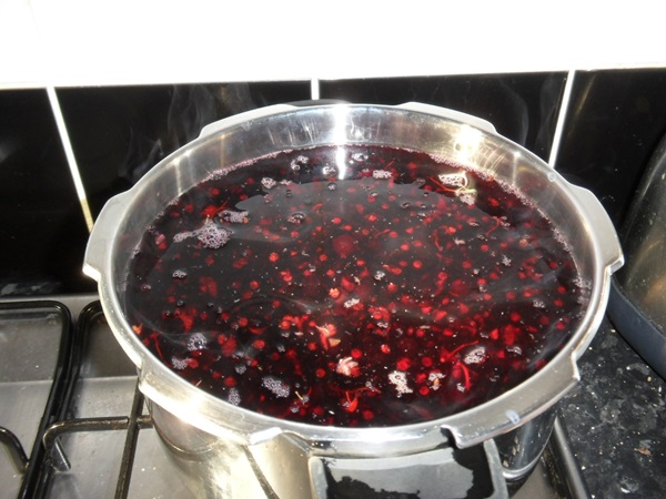 แกงเผ็ดอร่อยจาก blackcurrant - สูตร