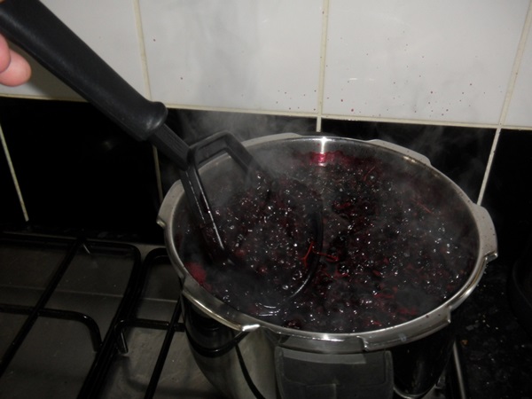 แกงเผ็ดอร่อยจาก blackcurrant - สูตร