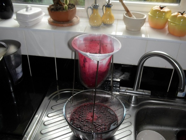แกงเผ็ดอร่อยจาก blackcurrant - สูตร