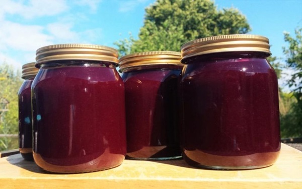 แกงเผ็ดอร่อยจาก blackcurrant - สูตร