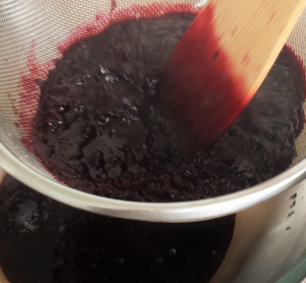 แกงเผ็ดอร่อยจาก blackcurrant - สูตร