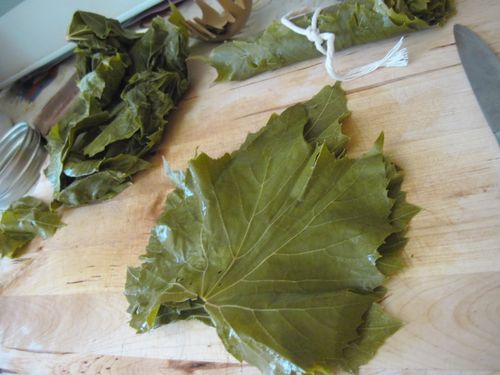 วิธีการดองใบเถาสำหรับ dolma