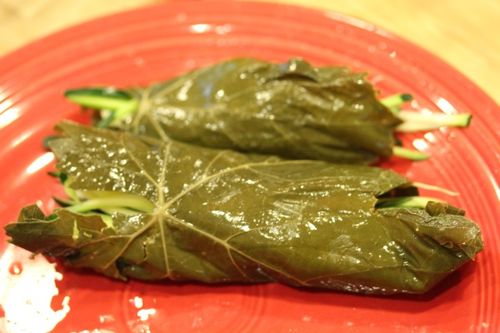 สูตรสำหรับการเก็บเกี่ยวใบองุ่นสำหรับ dolma วิธีการดองใบเถาสำหรับ dolma