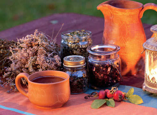 ดอกไม้ Hawthorn: คุณสมบัติทางสมุนไพรประยุกต์ในการแพทย์พื้นบ้าน