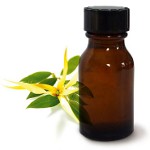 น้ำมันหอมระเหย Ylang Ylang น้ำมันหอมระเหย Ylang Ylang