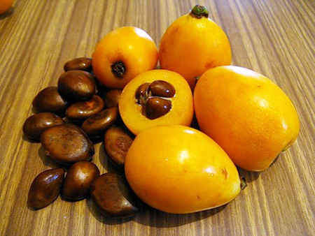 คุณสมบัติที่เป็นประโยชน์ของ medlar, การประยุกต์ใช้ในยา