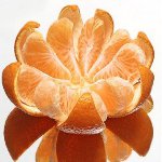 สรรพคุณของมนตรี