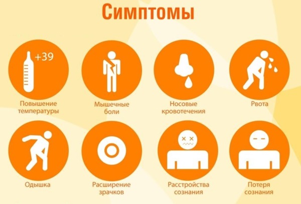 จังหวะความร้อน: อาการการปฐมพยาบาลและการรักษา