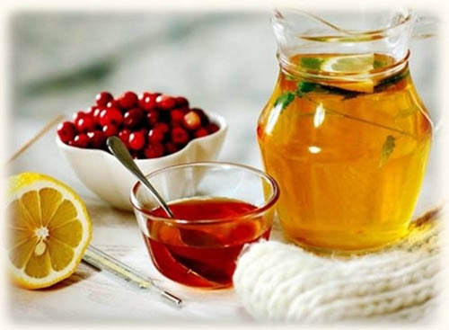 Bearberry: คุณสมบัติทางยา, การประยุกต์, รูปถ่าย