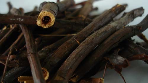 Grass sabelnik: ข้อบ่งชี้ในการใช้และคุณสมบัติทางยา