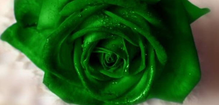 การปลดปล่อยสารสีเขียวในสตรี: สาเหตุของการปรากฏตัว
